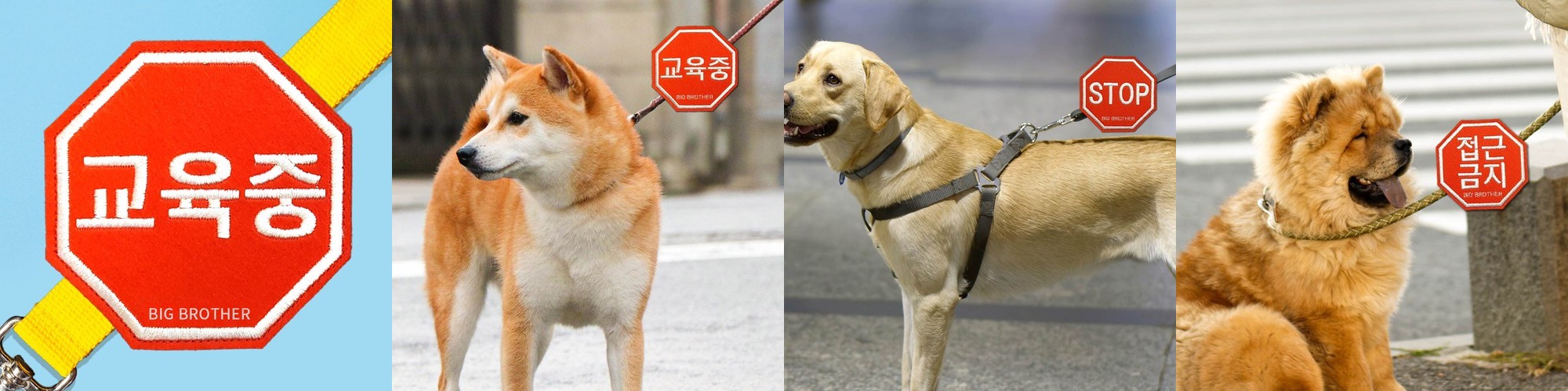 강아지와펜 네임택 대형견 강아지 산책와펜 교육중 리드줄 펫티켓