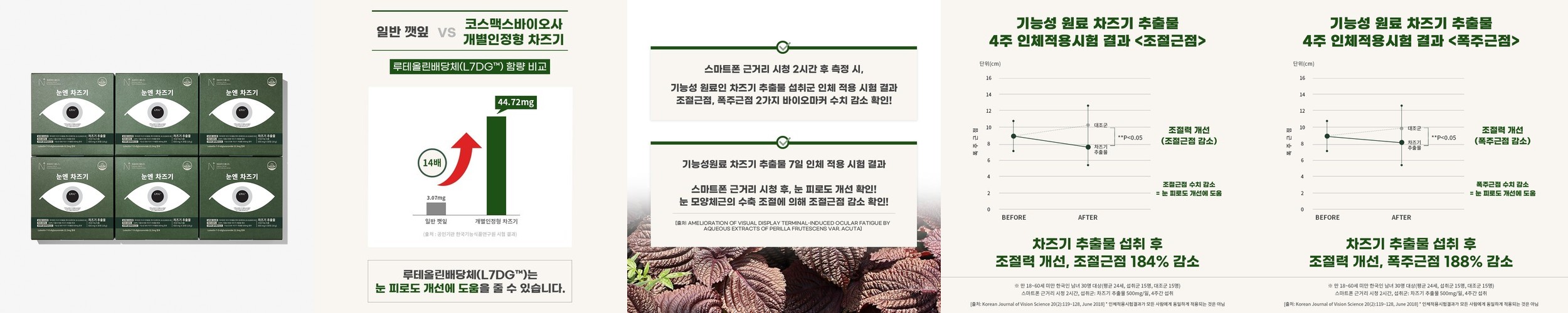 뉴트립 눈엔 차즈기 루테올린 차즈기추출물 500mg 30정, 6개