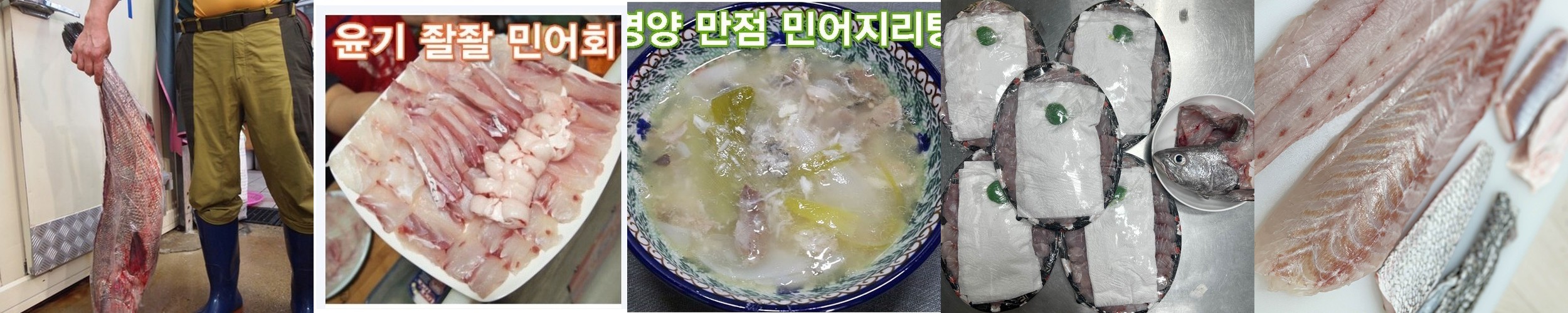 민어회 목포민어 2kg 3kg 4kg 5kg 자연산 한마리 부레 생선회