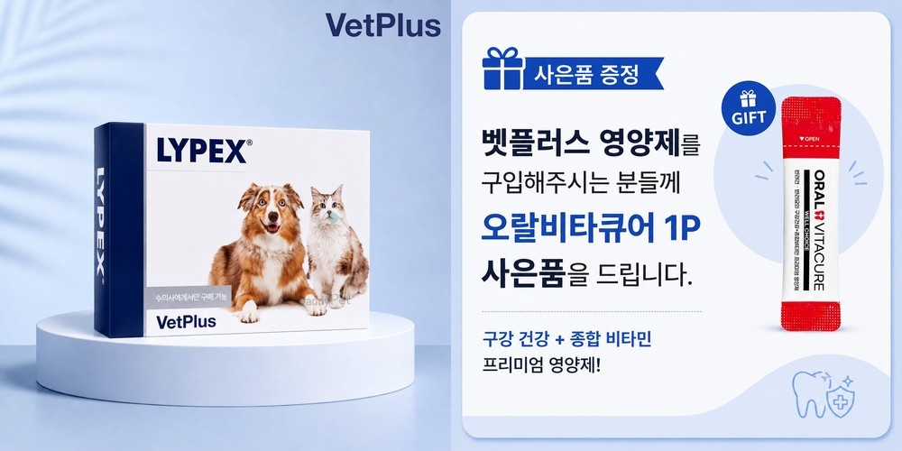 벳플러스 액티베이트 캣 60캡슐, 1개