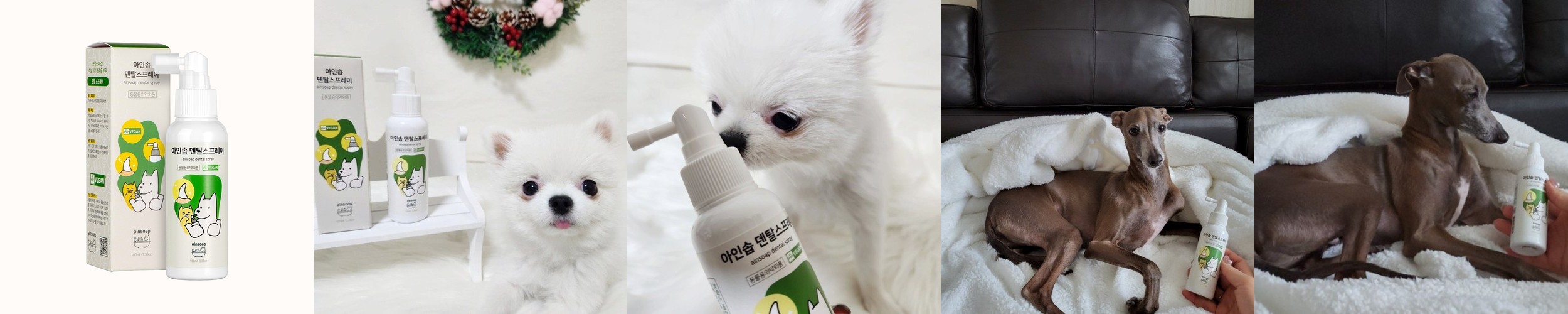 아인솝 강아지 고양이 입냄새 제거 뿌리는 치약 구강 덴탈 스프레이 100ml