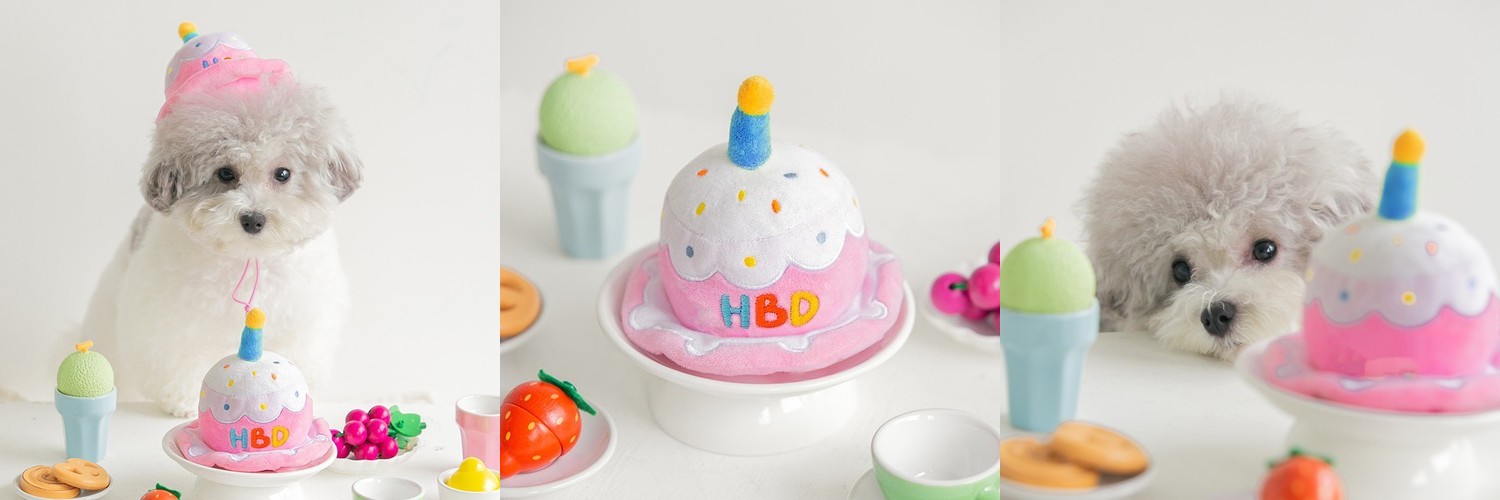 바잇미 강아지 생일모자 장난감 케이크