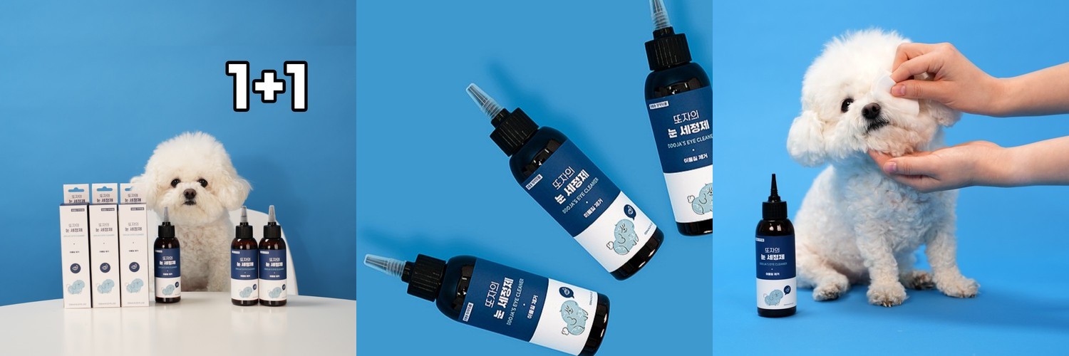 [고양이의 날] 페토세라 강아지 고양이 인공눈물 큐아이 드롭 눈물세정제 30ml, 1개
