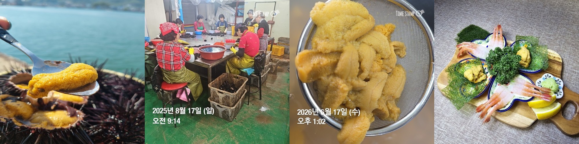 우니 성게알 보라성게 말똥 성게 제철 홈마카세 자연산