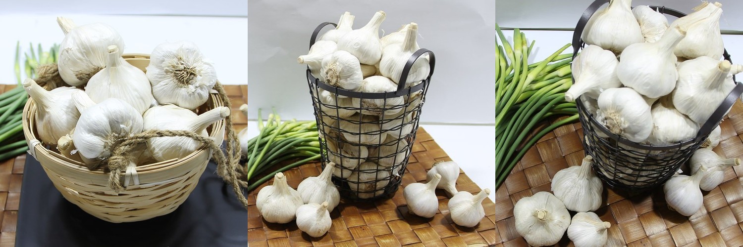 혼자먹는 꽈삭칩 마늘 건강한 사무실 등산 아이 간식 동결건조 야채칩 40g, 1개