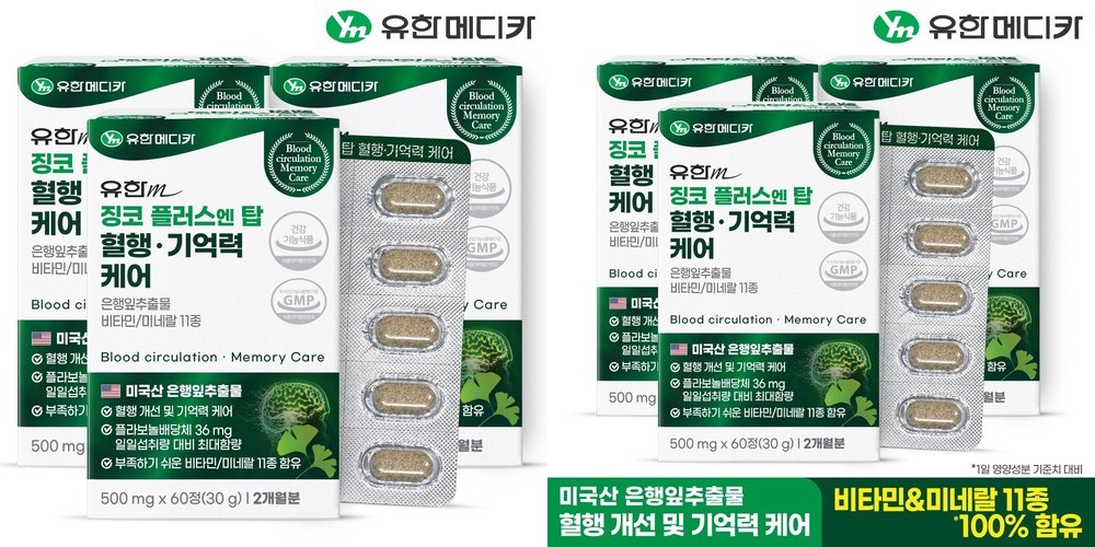[4개월] 유한메디카 징코 플러스 엔 탑 혈행 기억력 케어 60정, 2개