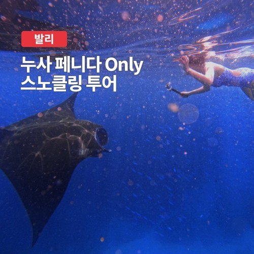 나트랑 시내 단독 프라이빗 렌트카 대여 택시 투어 (공항 픽업, 짐보관)