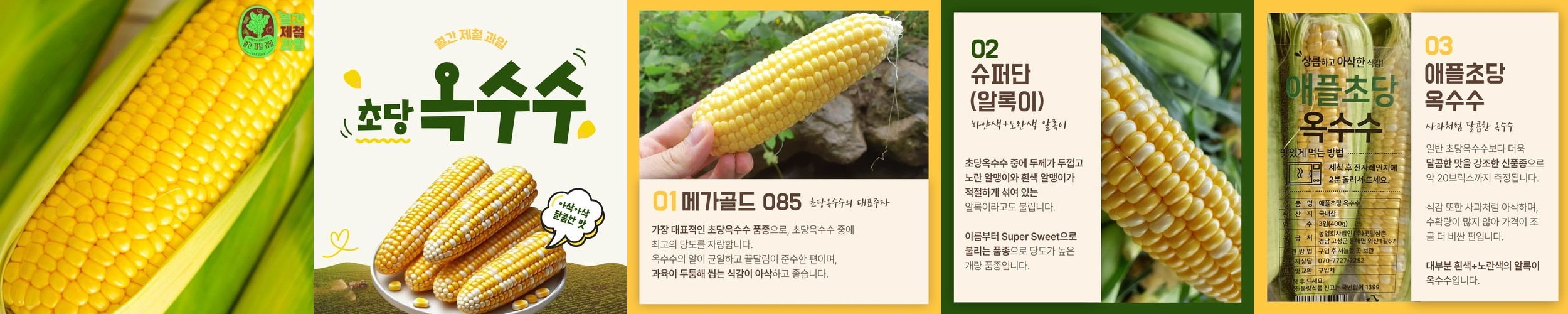 [19브릭스] 초당옥수수 백화점용 햇 옥수수