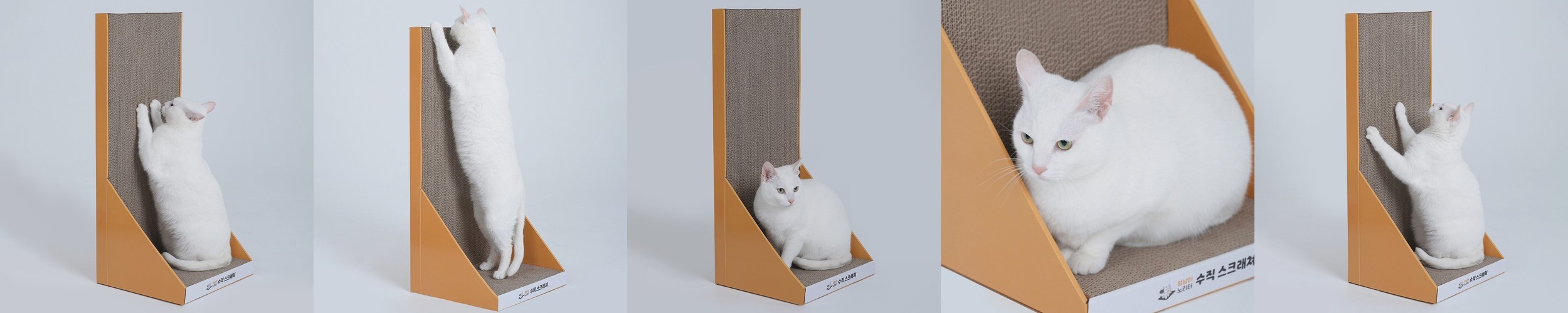 피타 고양이 스크래쳐 폴 1단