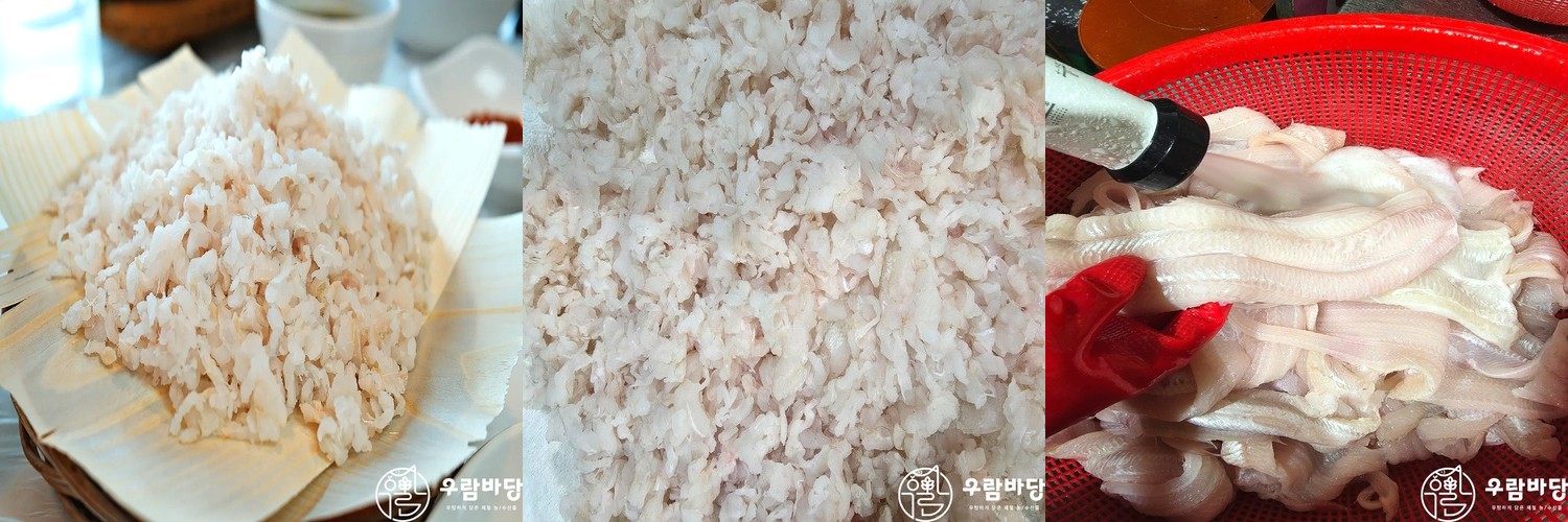 26년 제철 활 전어 당일조업 전어회 구이 필렛 세꼬시 500g 수제쌈장100g증정