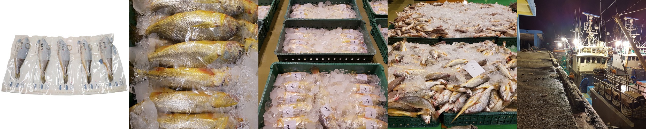 고소하고 맛있는 국산 반건조 참조기 두절 굴비 손질 500g, 1개
