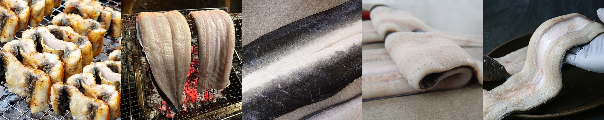 생물 꼼장어 1kg, 1개