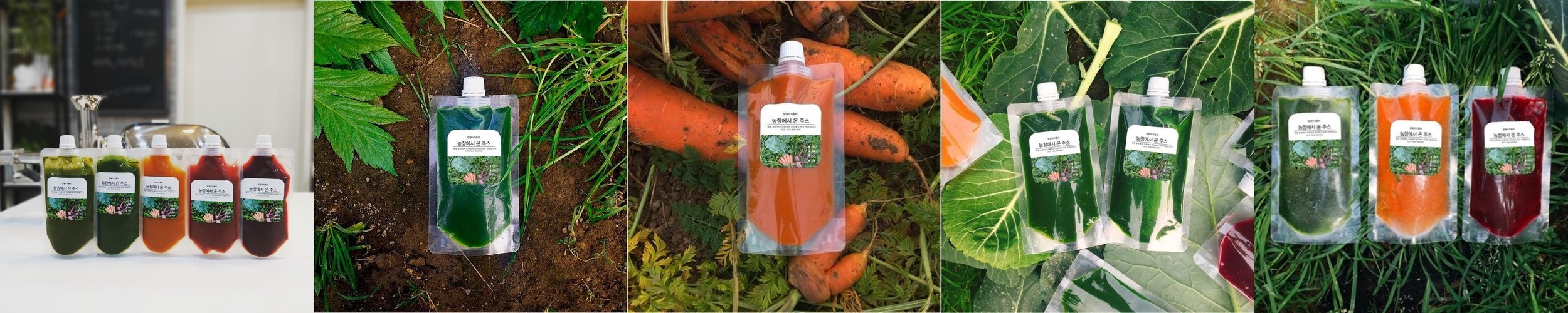 시오3 시오쓰리 국산 오리지널 수용성 규소수 Sio3 1박스 (200ml x 4병)