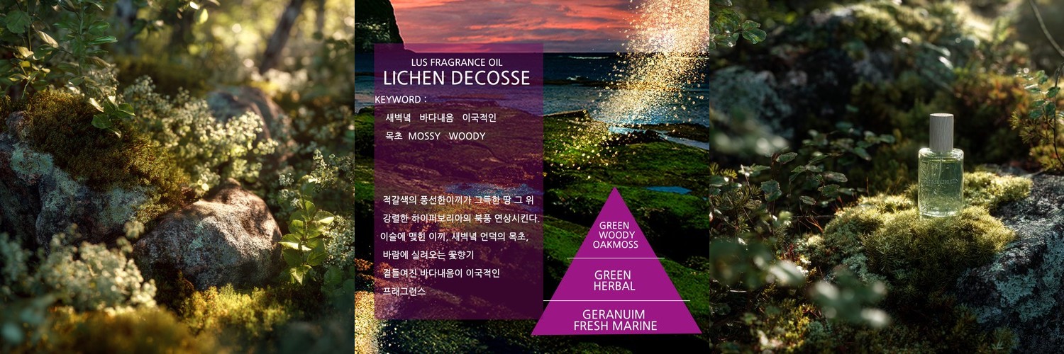 LUS 프래그런스오일 리켄데코스(BUL 타입), 100ml, 1개
