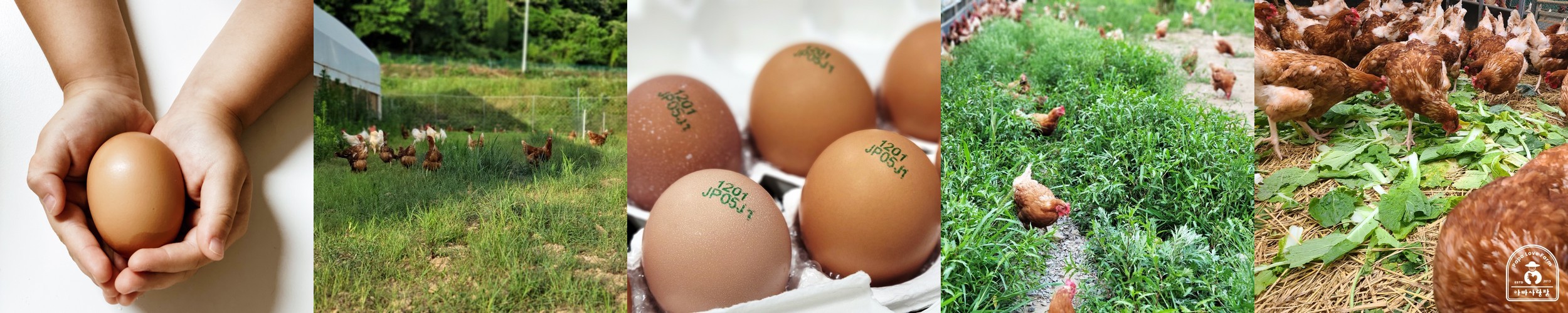 경남제약 퓨어 비타민C 3000 메가 고함량 NON-GMO 90포, 3개