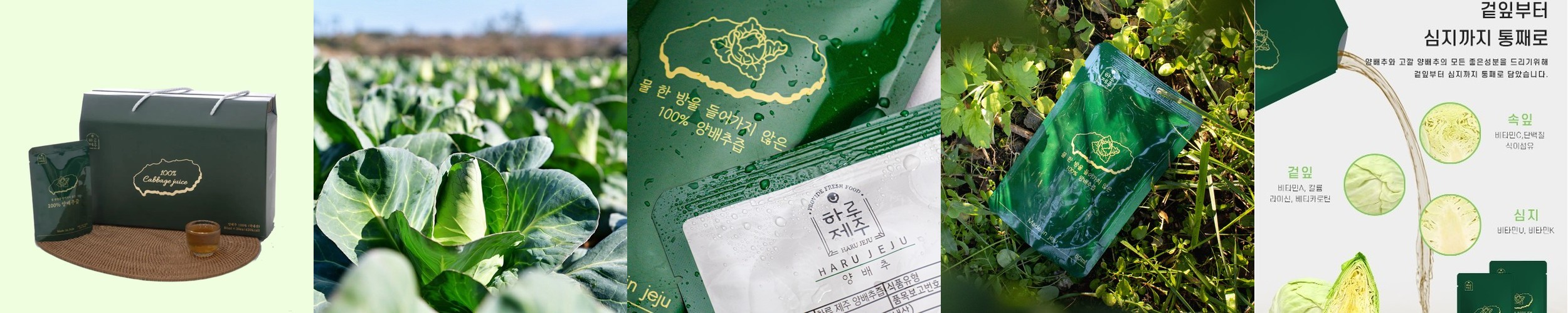 트루알엑스 카베쏙 진한 양배추 즙 젤리스틱 14포, 1개