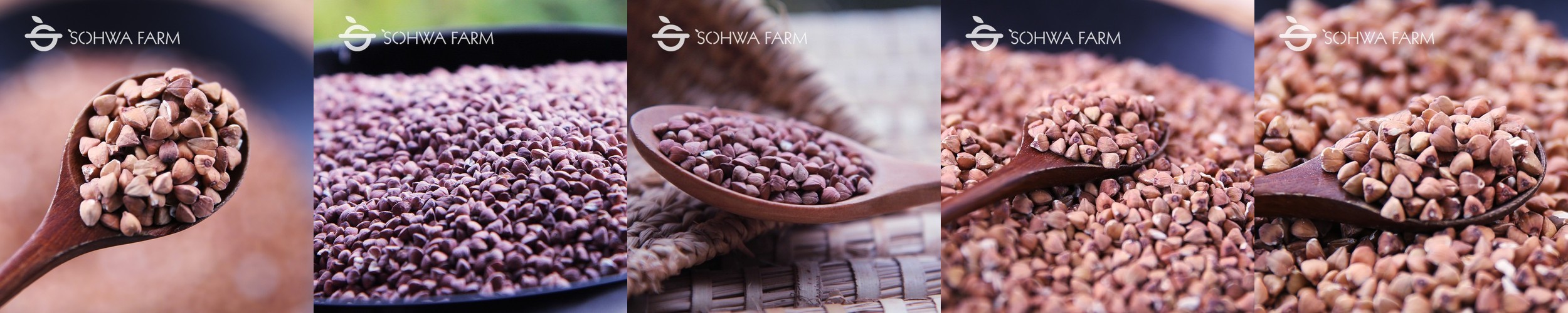 국산 볶은 깐 메밀차 500g 거피메밀 차