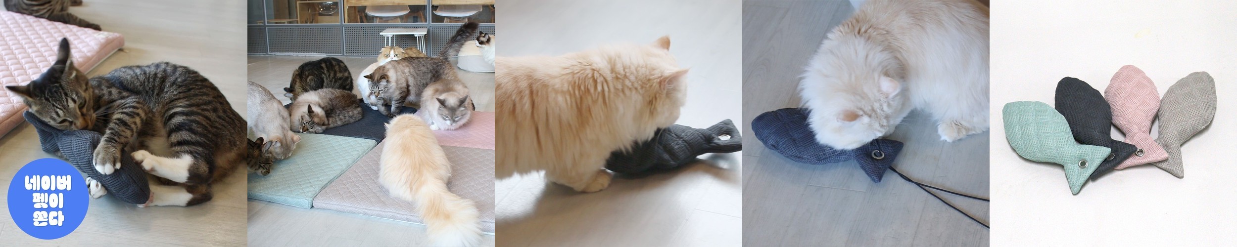 크레용펫 고양이 낚시대 리필 장난감 교체 리얼 벌레 바스락 샤샤