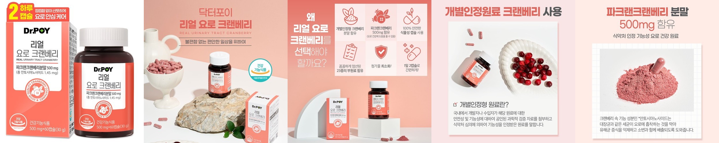 크랜디프로 크랜베리 디만노스 디마노스 질유산균 여성 Y존 케어 크린베리 30포, 1개