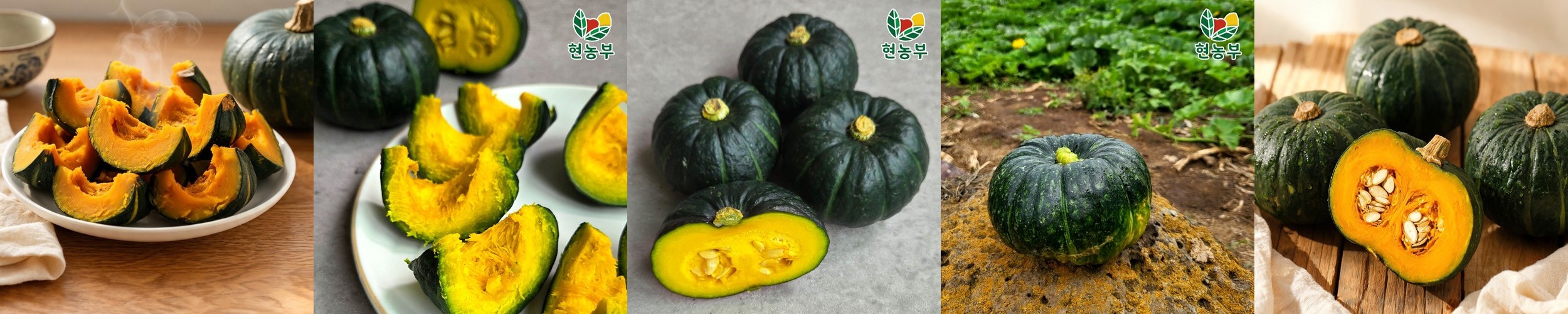 현농부 산지직송 제주 밤호박 미니밤호박 보우짱 단호박 2kg 3kg 5kg 10kg