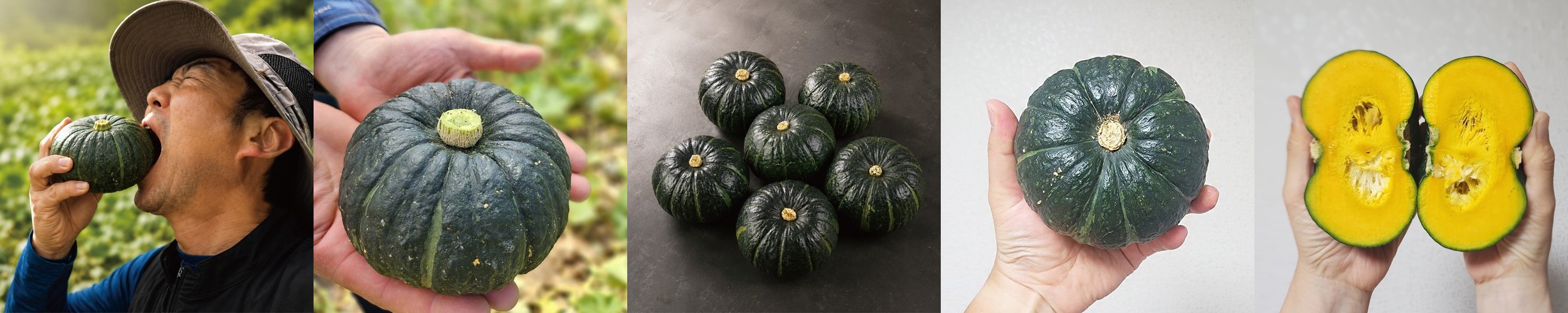 세척 완료 A등급 미국산 냉동 아이스 블루베리 1kg, 5개