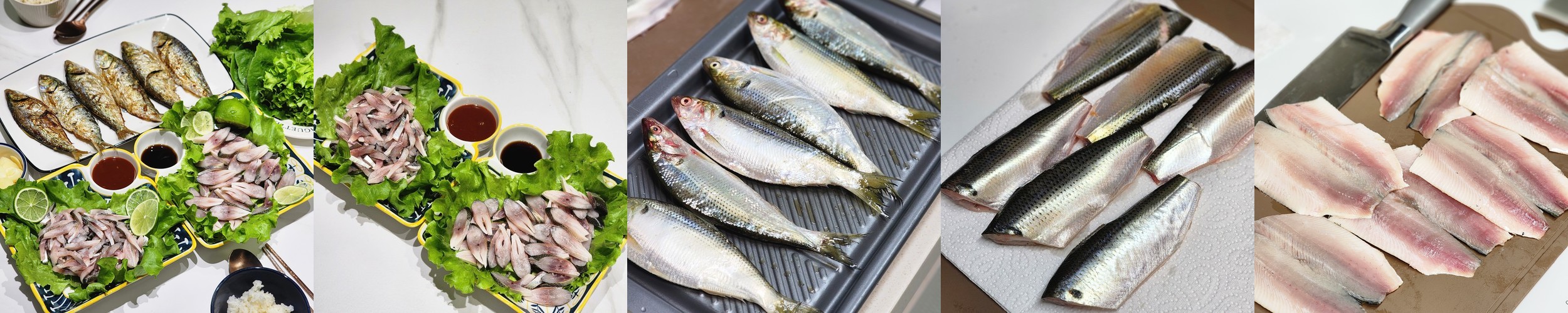 국내산 제철 전어 10kg 가을 전어회 급냉 활전어 횟감선도 구이용 세꼬시