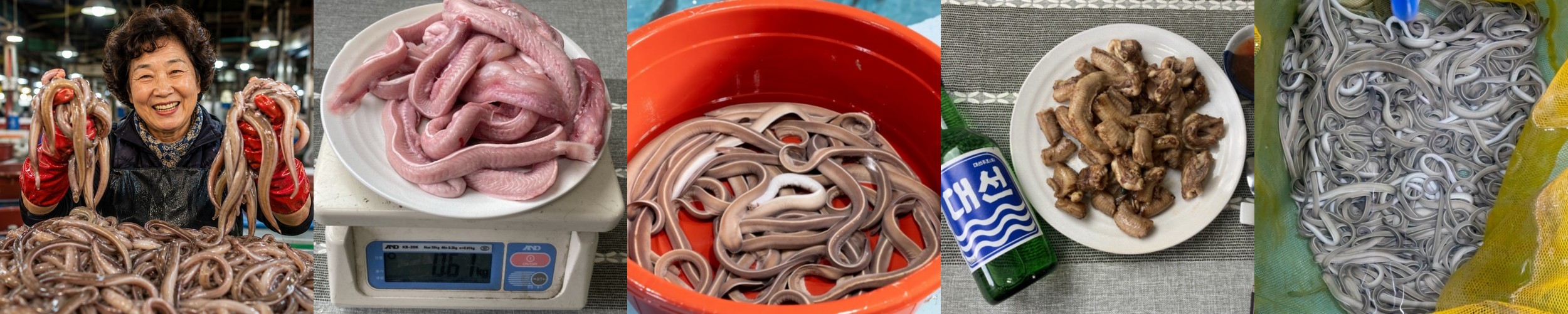 생물 꼼장어 1kg, 1개
