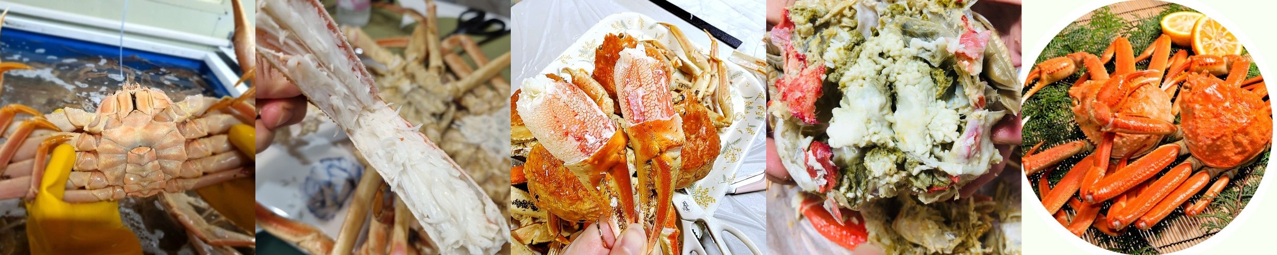 진한 달콤함, 대만 애플망고 2.5kg 5kg (최상급 항공수입)
