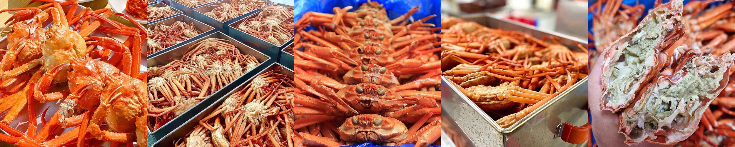 국내산 제철 전어 10kg 가을 전어회 급냉 활전어 횟감선도 구이용 세꼬시