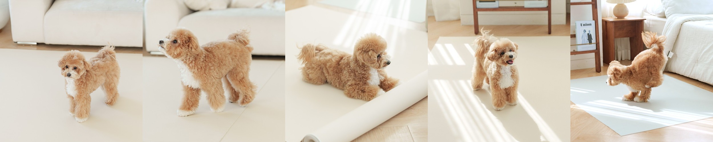 루나박스 강아지 쿨매트 고양이 쿨방석 냉감 젤패드 애견 반려견 여름 스카이블루, 중형