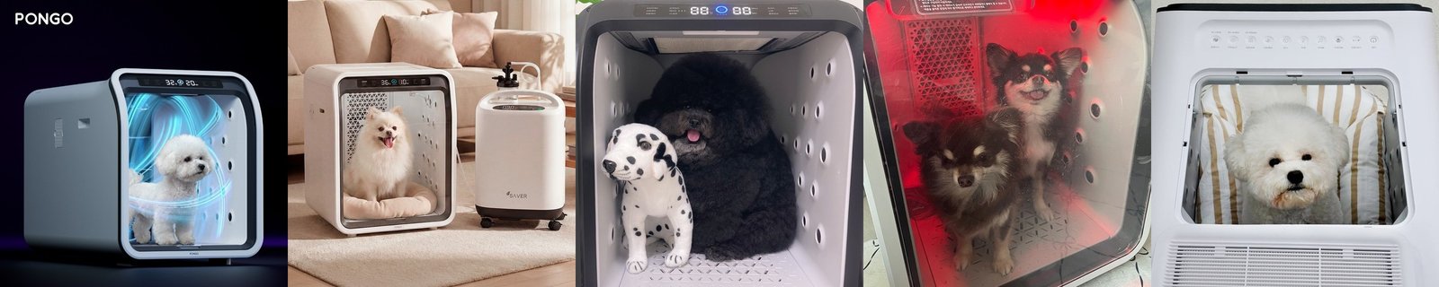 퐁고 펫드라이룸 케어수 샤워 강아지 고양이 털말리기 애견 애묘 건조기 중형견케어