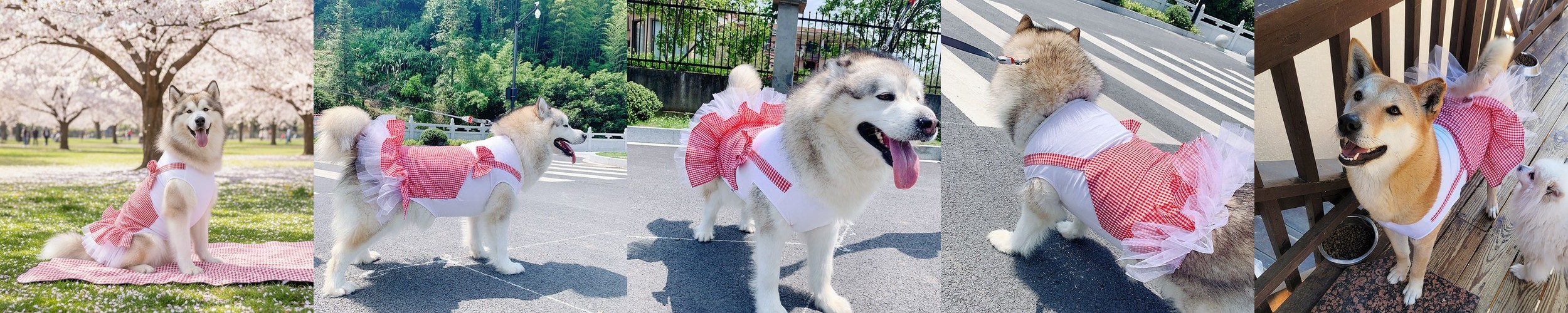 강아지침대계단 강아지슬라이드계단 47cm