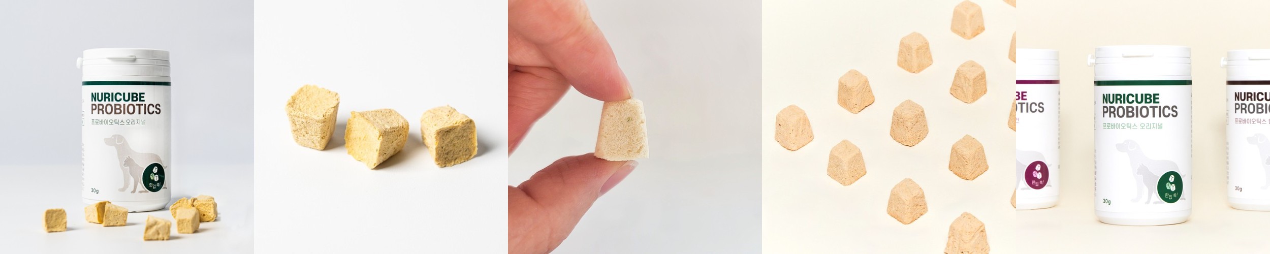 닥터리코 누리큐브 강아지 유산균 프로바이오틱스 변비 장건강 영양제 오리지널, 30g, 1개