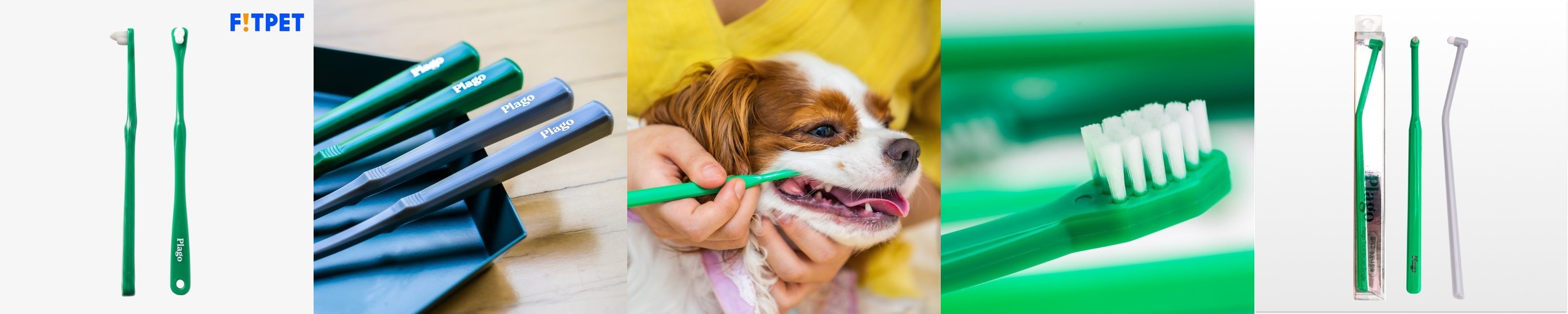 캣템 고양이 이빨과자 치석제거간식 스피루리나 덴탈 치킨 500g 2개+60g