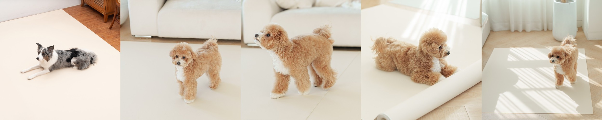 개놀자 슬림 실리콘 강아지 롤매트 고양이 미끄럼방지 매트 140x400cm