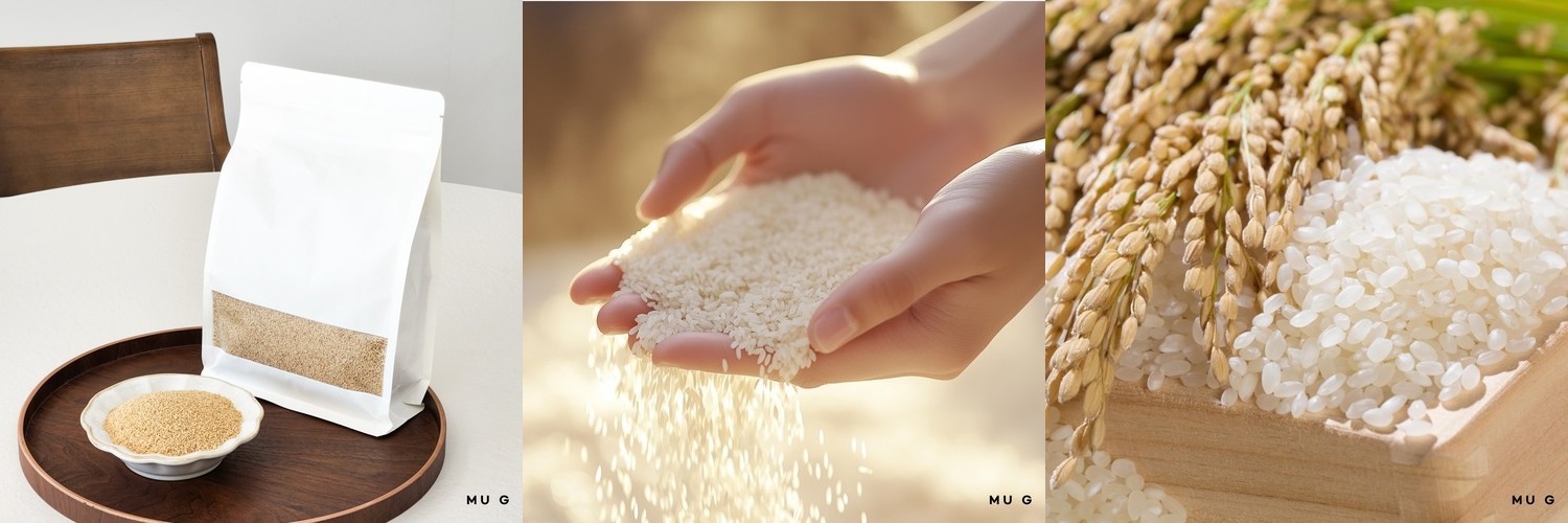 햇 현미 쌀눈 현미 쌀눈 대용량 국산 1kg, 1개