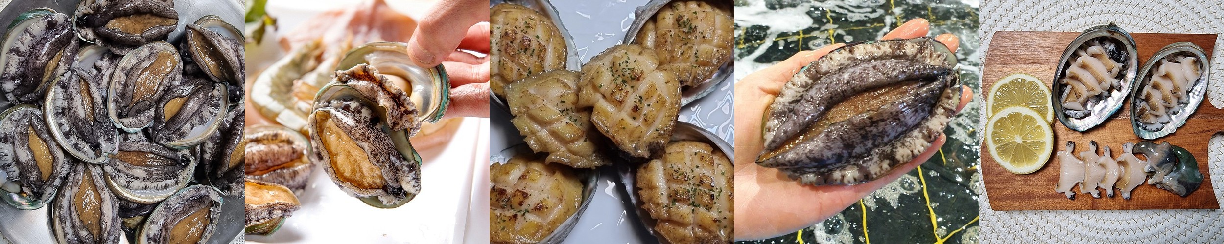 [전품목할인]완도산 냉동 자숙 전복살 10미 국산 손질전복 순살 선물용 이유식용