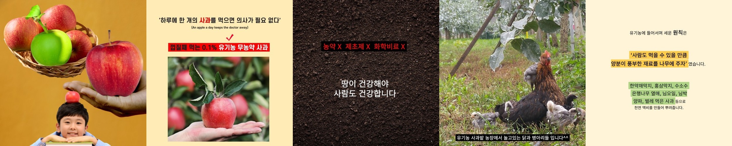 [비비드키친] 저당 초고추장소스