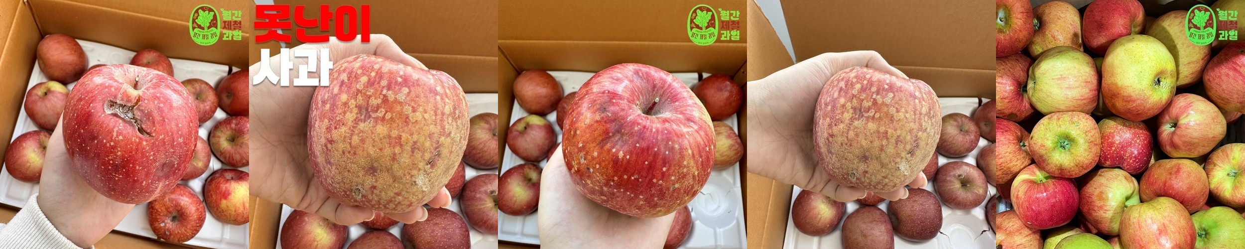 신선마켓 가정용 맛있는 꿀부사 사과 중소과, 5kg, 1개