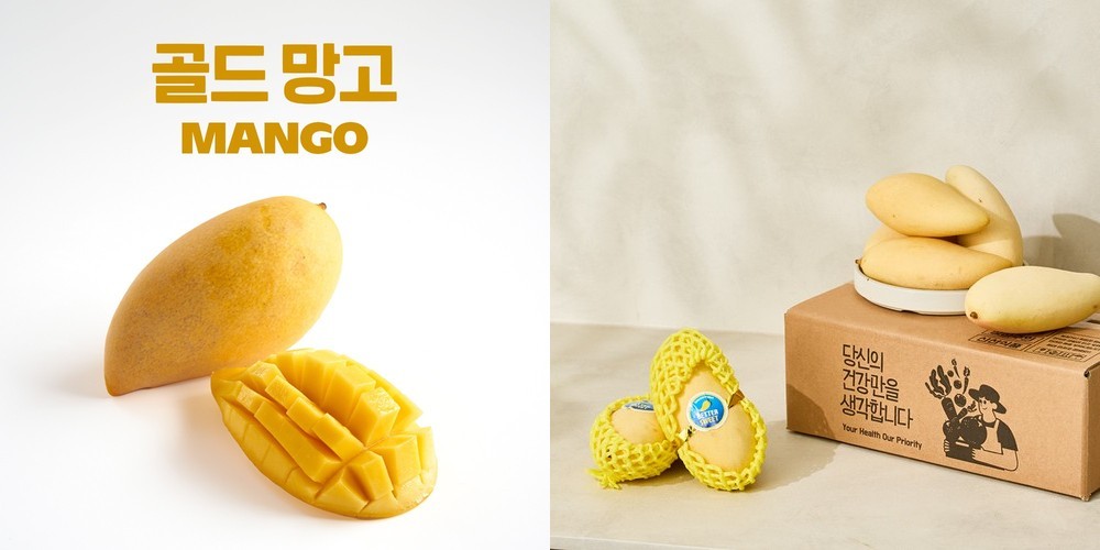 제주한귤 고당도 미니애플망고 15브릭스 이상 꼬마 프리미엄 산지직송 1kg 2kg 3kg