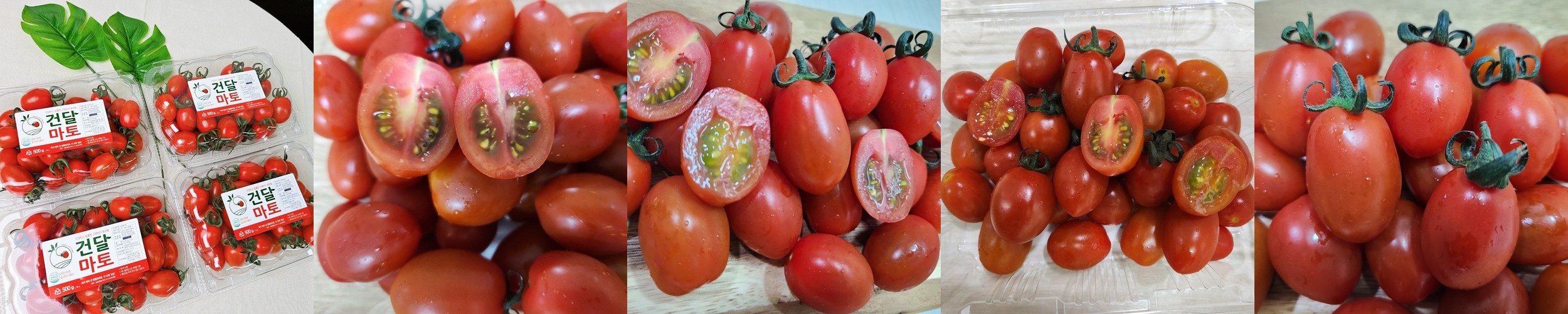 대저토마토 짭짤이 스테비아 방울토마토 흑 대추 완숙