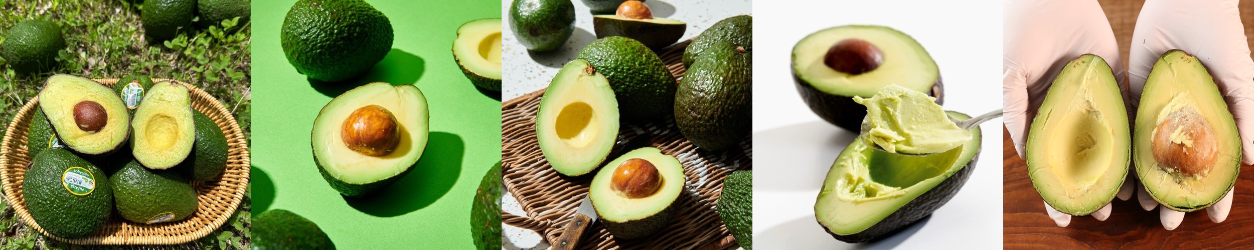 성주참외 선물용 가정용 꼬마 못난이 1kg 2kg 5kg