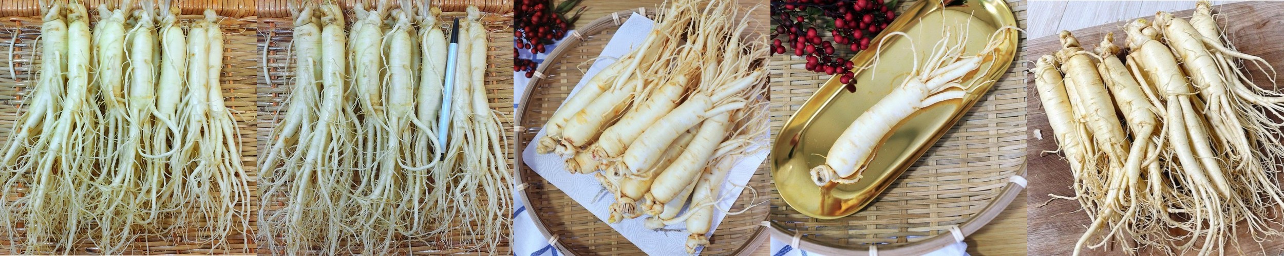 금산 참 인삼 수삼 난발삼 대750g 9-11뿌리 한채