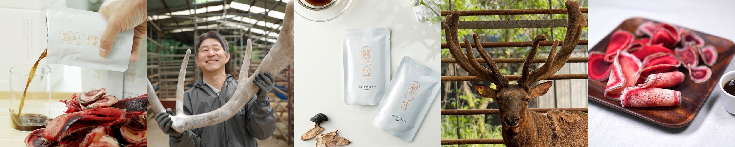 천호엔케어 아미노산 타우린 3,100mg 100ml X 30개입