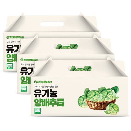 [국산100%] 참앤들황토농원 맛있는 흑마늘진액 70ml 100포, 2개