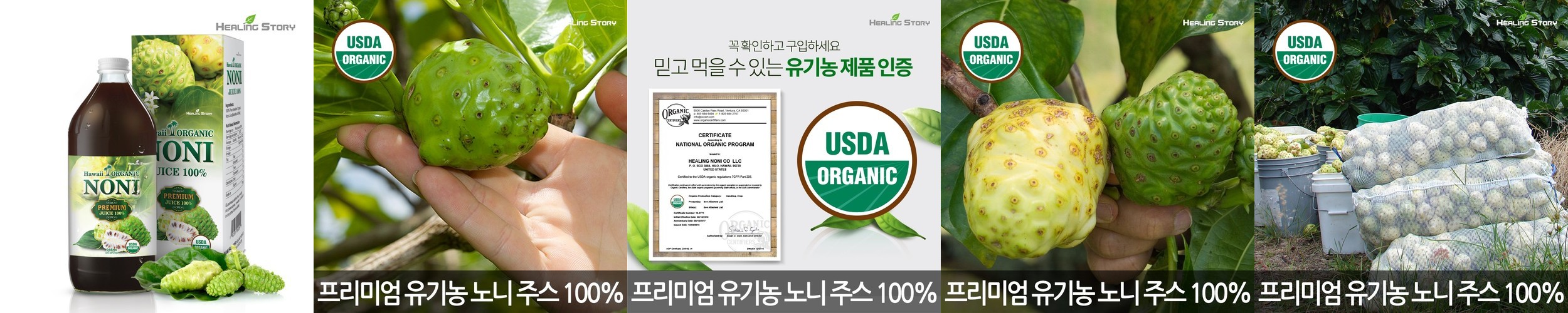 그리니팅 그린 파이토 스무디 클렌즈 유기농 갈아만든 케일 브로콜리 200ml, 5개