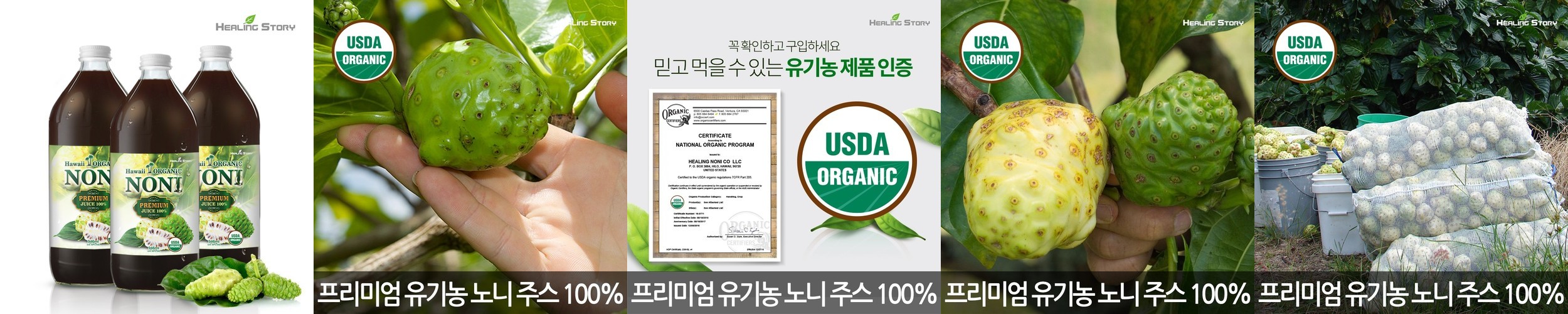 그리니팅 그린 파이토 스무디 클렌즈 유기농 갈아만든 케일 브로콜리 200ml, 5개