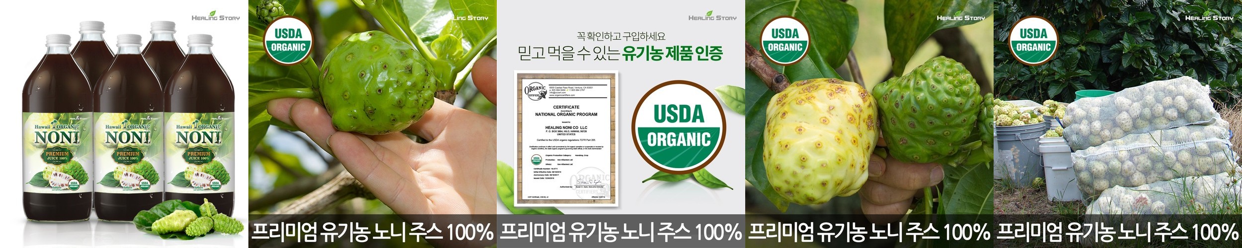 그리니팅 그린 파이토 스무디 클렌즈 유기농 갈아만든 케일 브로콜리 200ml, 5개