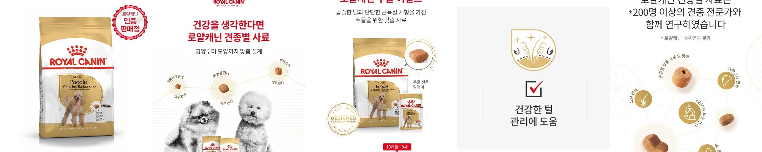 올바른 끼니 플러스 소고기 초록입홍합 스팀사료 소프트한 강아지사료 소고기+초록입홍합, 1.2kg, 1개
