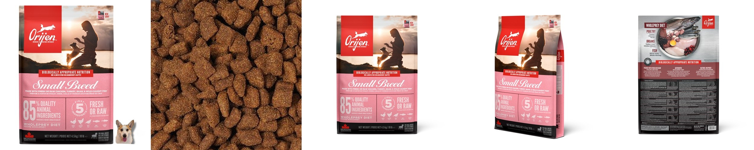 디어니스트키친 클러스터 사료 홀그레인 치킨오트, 450g, 1개